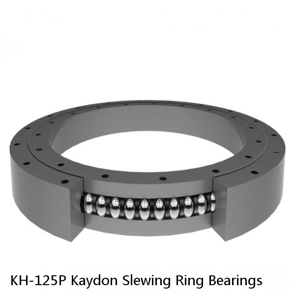 KH-125P Kaydon Slewing Ring Bearings