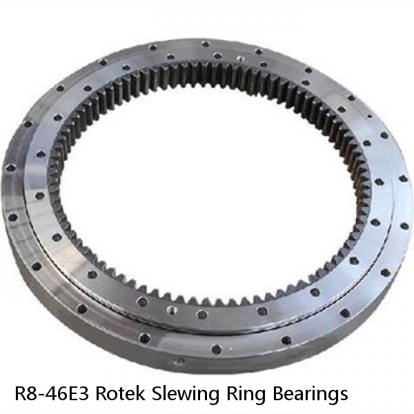 R8-46E3 Rotek Slewing Ring Bearings