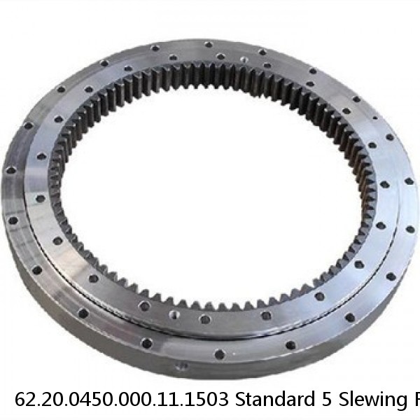 62.20.0450.000.11.1503 Standard 5 Slewing Ring Bearings