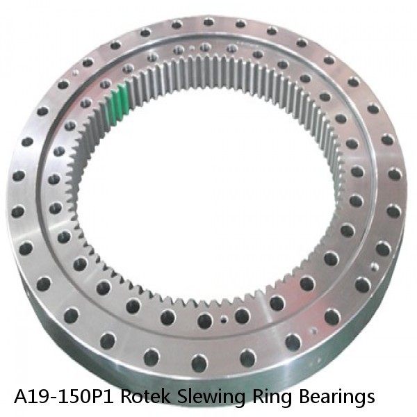 A19-150P1 Rotek Slewing Ring Bearings