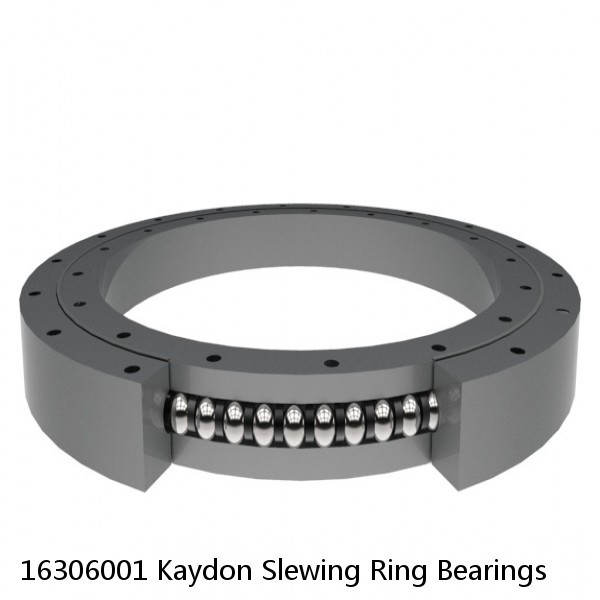 16306001 Kaydon Slewing Ring Bearings