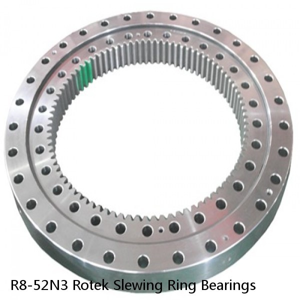 R8-52N3 Rotek Slewing Ring Bearings