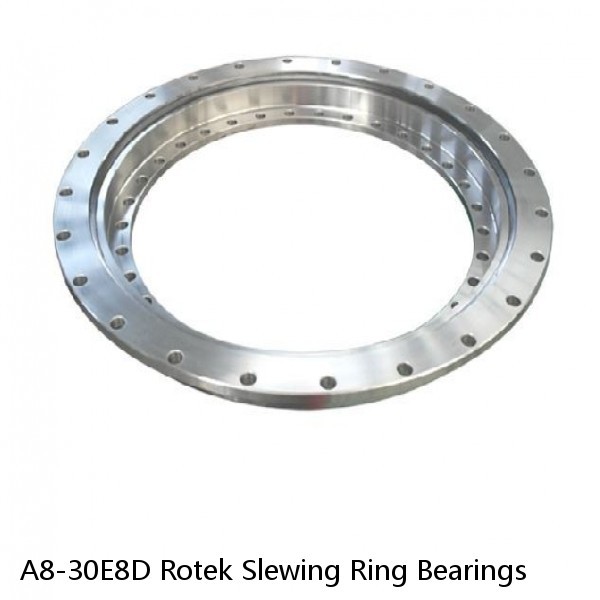 A8-30E8D Rotek Slewing Ring Bearings