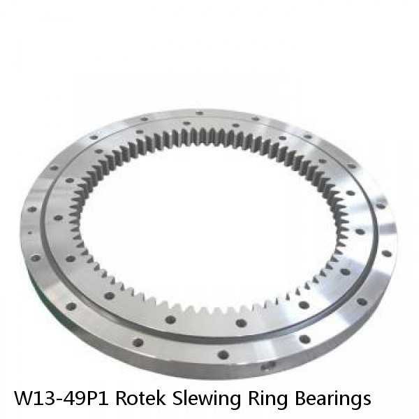 W13-49P1 Rotek Slewing Ring Bearings