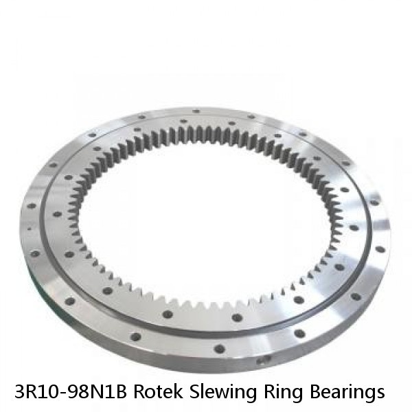 3R10-98N1B Rotek Slewing Ring Bearings