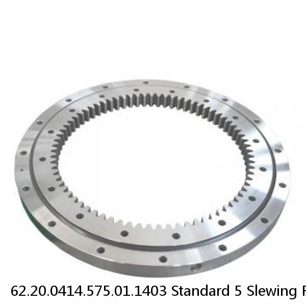 62.20.0414.575.01.1403 Standard 5 Slewing Ring Bearings