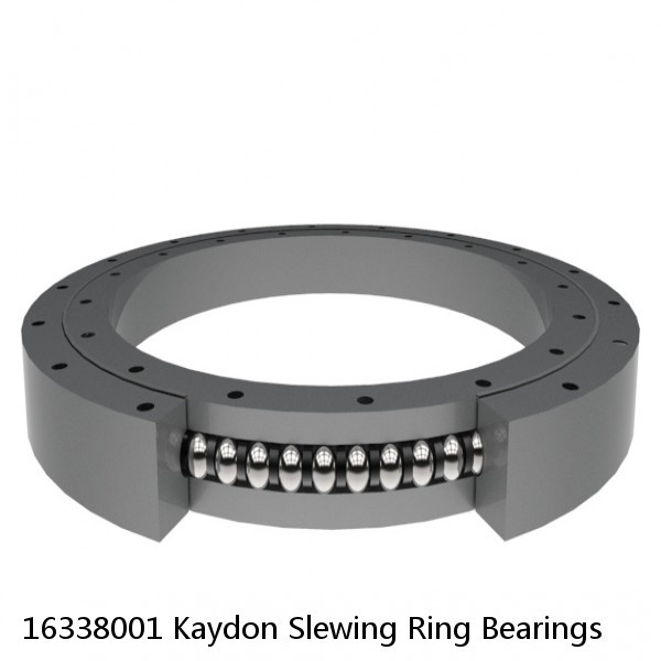 16338001 Kaydon Slewing Ring Bearings