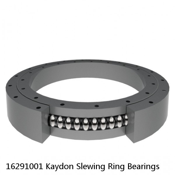 16291001 Kaydon Slewing Ring Bearings