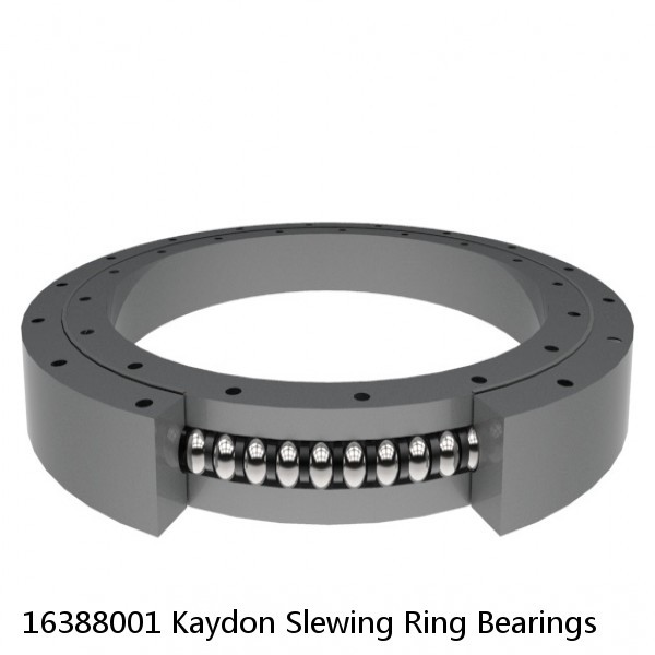 16388001 Kaydon Slewing Ring Bearings