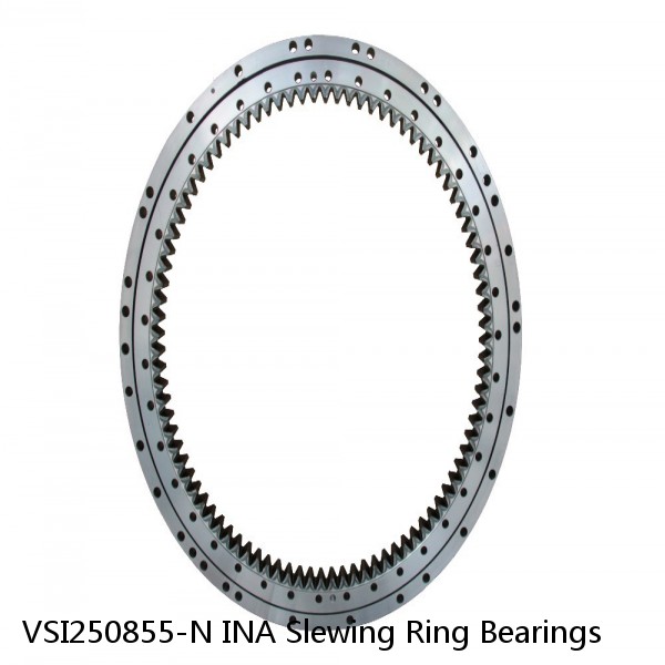 VSI250855-N INA Slewing Ring Bearings