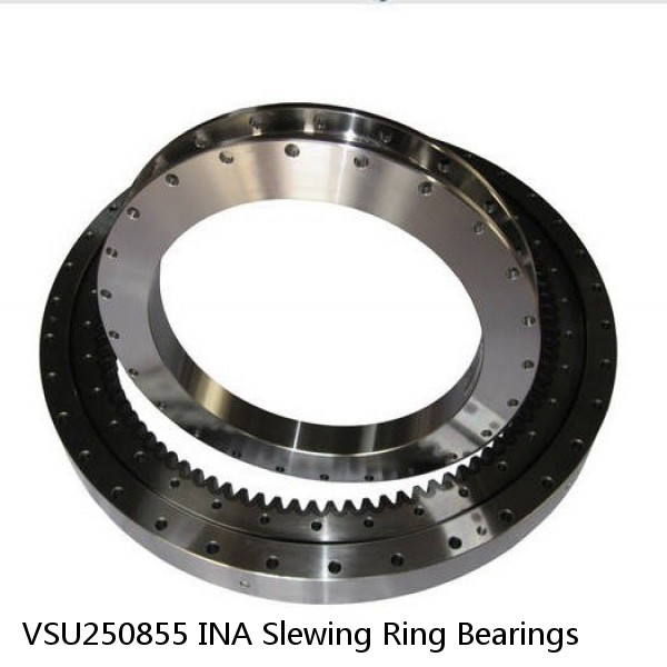 VSU250855 INA Slewing Ring Bearings