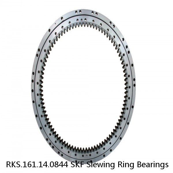 RKS.161.14.0844 SKF Slewing Ring Bearings