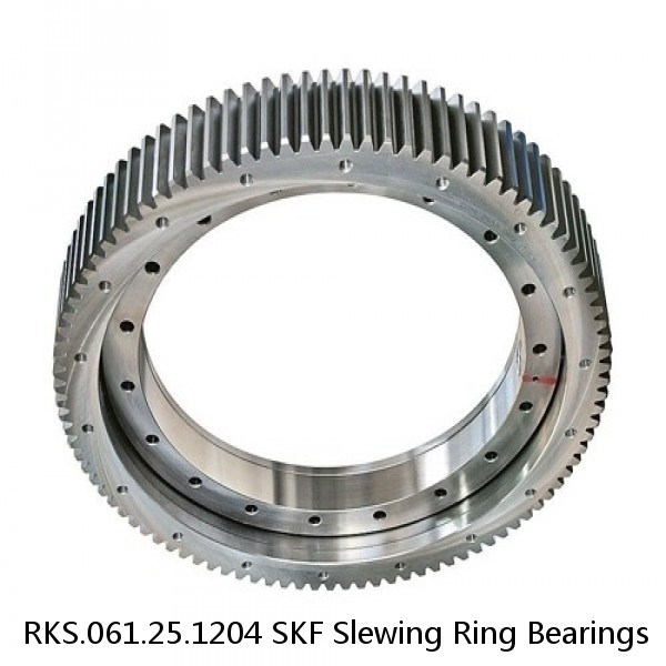 RKS.061.25.1204 SKF Slewing Ring Bearings