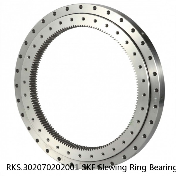 RKS.302070202001 SKF Slewing Ring Bearings