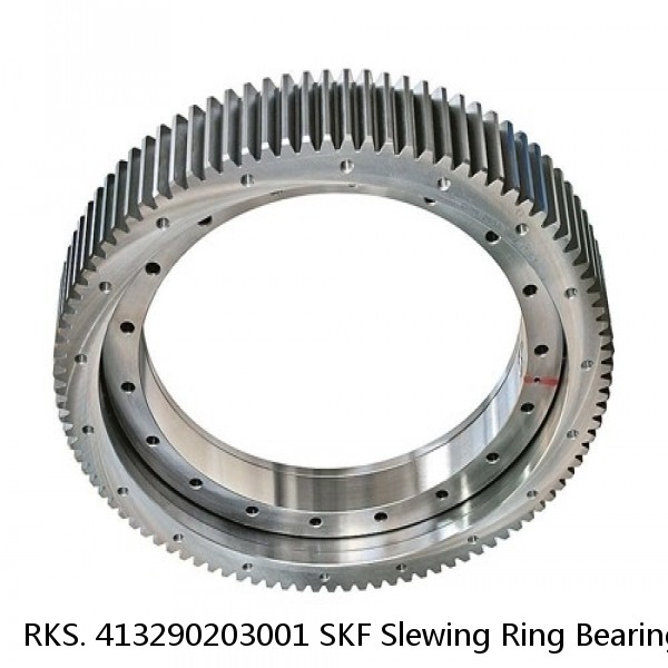 RKS. 413290203001 SKF Slewing Ring Bearings