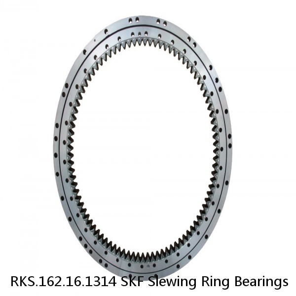 RKS.162.16.1314 SKF Slewing Ring Bearings