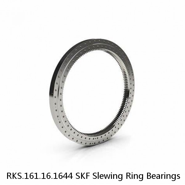 RKS.161.16.1644 SKF Slewing Ring Bearings