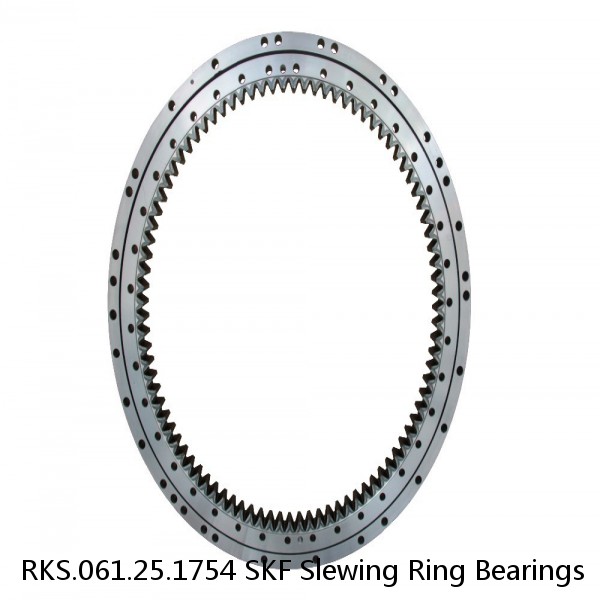 RKS.061.25.1754 SKF Slewing Ring Bearings