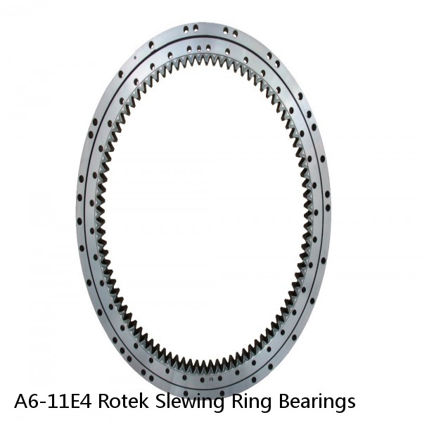 A6-11E4 Rotek Slewing Ring Bearings