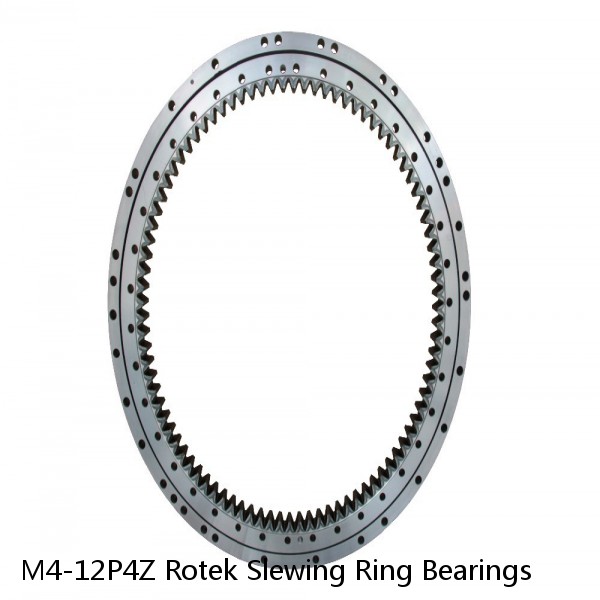 M4-12P4Z Rotek Slewing Ring Bearings