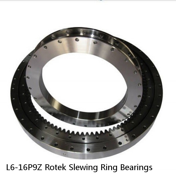 L6-16P9Z Rotek Slewing Ring Bearings