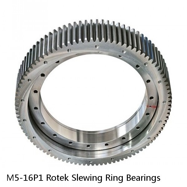 M5-16P1 Rotek Slewing Ring Bearings