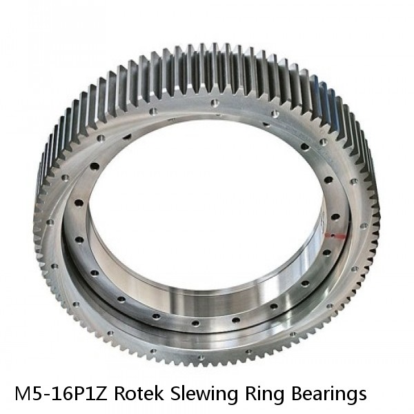 M5-16P1Z Rotek Slewing Ring Bearings