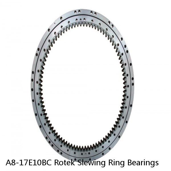 A8-17E10BC Rotek Slewing Ring Bearings