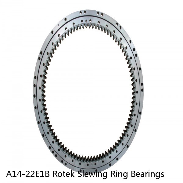 A14-22E1B Rotek Slewing Ring Bearings