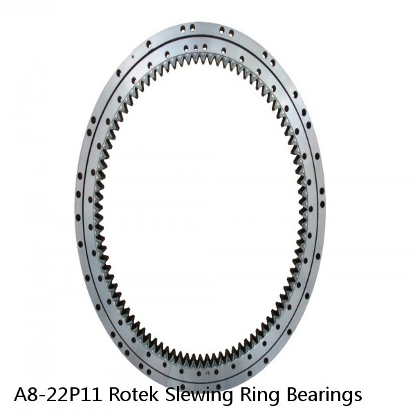 A8-22P11 Rotek Slewing Ring Bearings