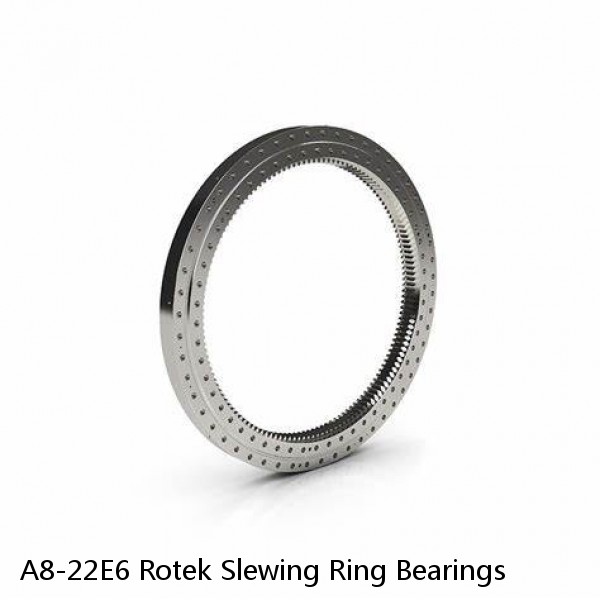 A8-22E6 Rotek Slewing Ring Bearings