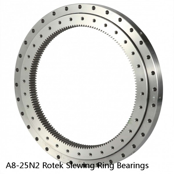 A8-25N2 Rotek Slewing Ring Bearings