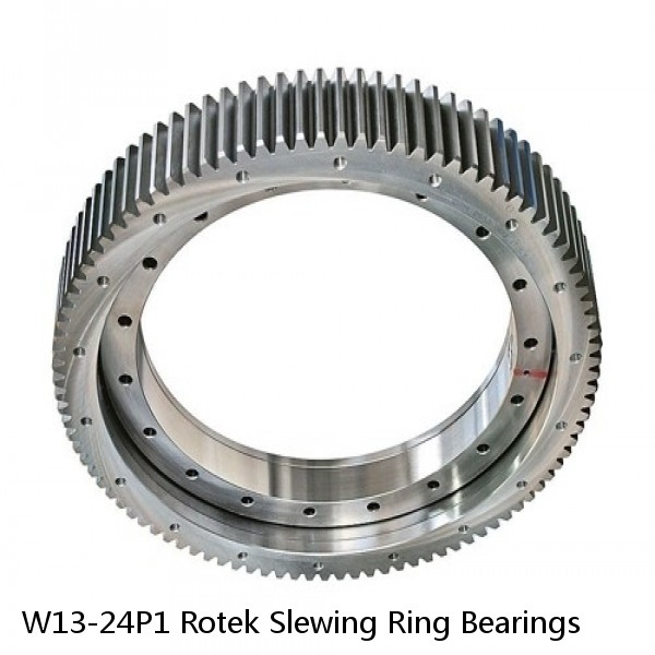 W13-24P1 Rotek Slewing Ring Bearings