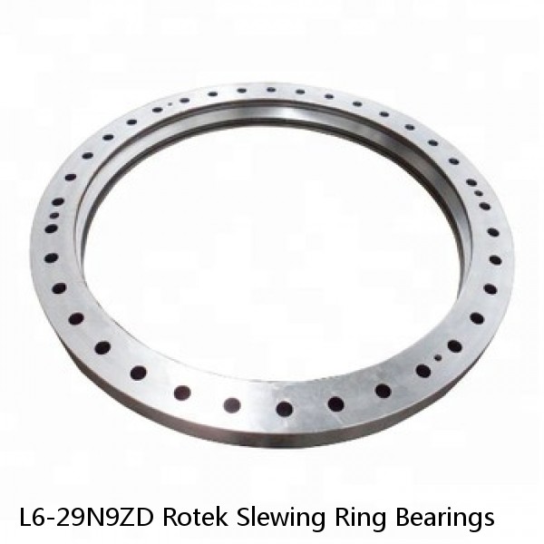 L6-29N9ZD Rotek Slewing Ring Bearings