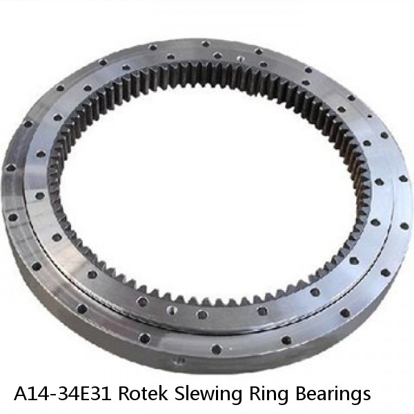 A14-34E31 Rotek Slewing Ring Bearings