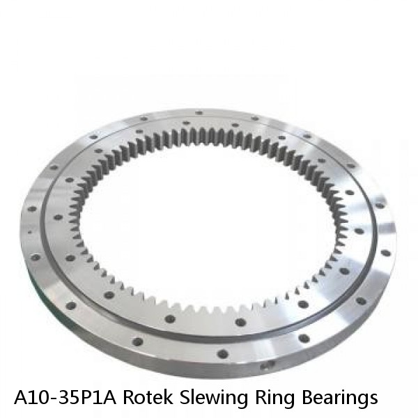 A10-35P1A Rotek Slewing Ring Bearings