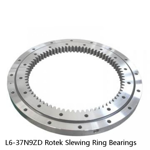 L6-37N9ZD Rotek Slewing Ring Bearings