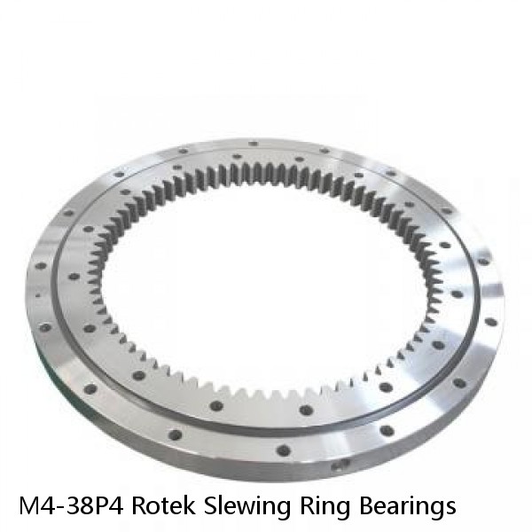 M4-38P4 Rotek Slewing Ring Bearings