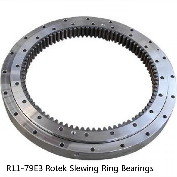 R11-79E3 Rotek Slewing Ring Bearings