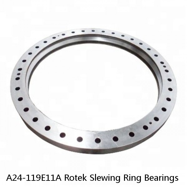 A24-119E11A Rotek Slewing Ring Bearings