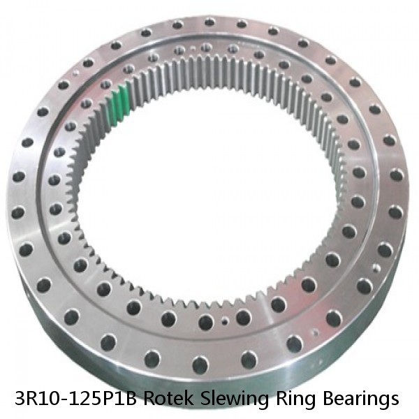 3R10-125P1B Rotek Slewing Ring Bearings