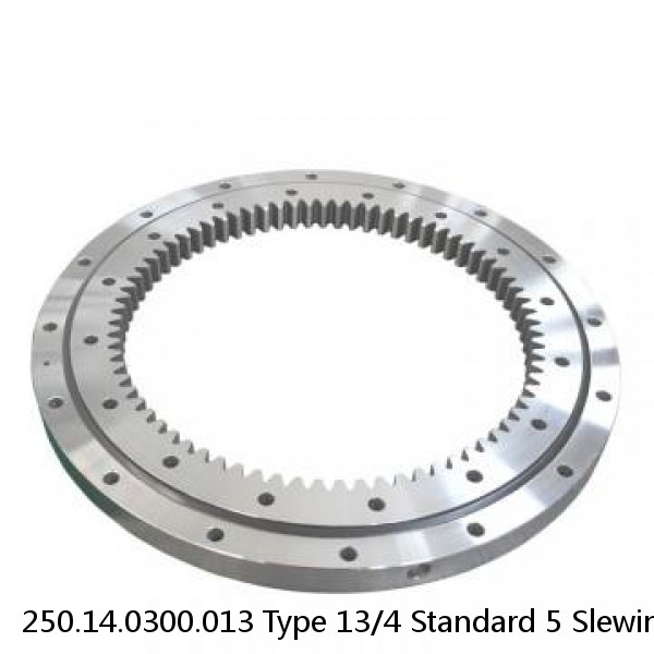 250.14.0300.013 Type 13/4 Standard 5 Slewing Ring Bearings