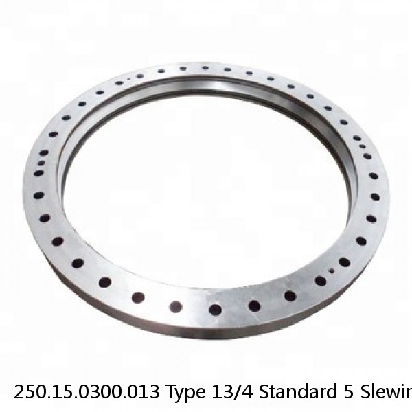 250.15.0300.013 Type 13/4 Standard 5 Slewing Ring Bearings