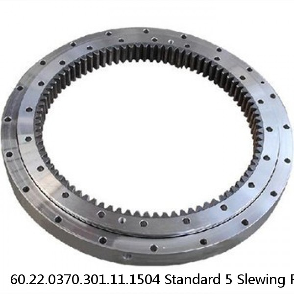 60.22.0370.301.11.1504 Standard 5 Slewing Ring Bearings