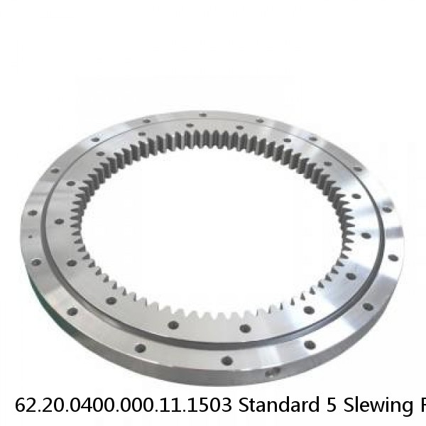 62.20.0400.000.11.1503 Standard 5 Slewing Ring Bearings