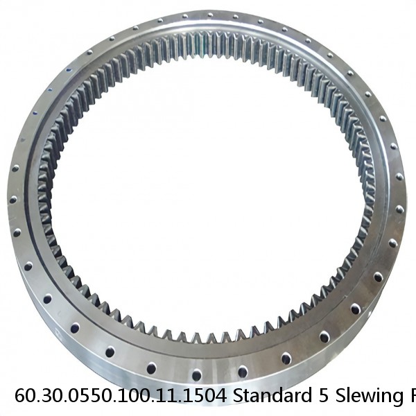 60.30.0550.100.11.1504 Standard 5 Slewing Ring Bearings