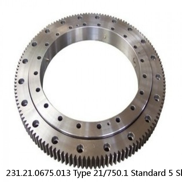 231.21.0675.013 Type 21/750.1 Standard 5 Slewing Ring Bearings