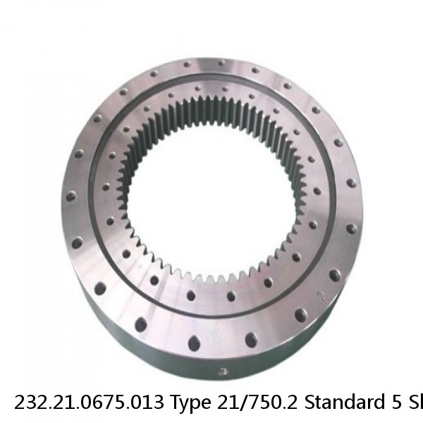 232.21.0675.013 Type 21/750.2 Standard 5 Slewing Ring Bearings