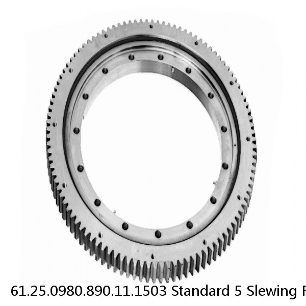 61.25.0980.890.11.1503 Standard 5 Slewing Ring Bearings