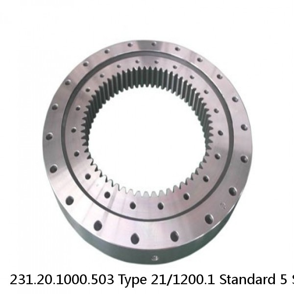 231.20.1000.503 Type 21/1200.1 Standard 5 Slewing Ring Bearings